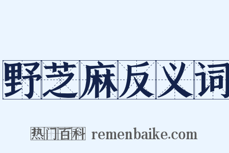 野芝麻反义词是什么意思的图片